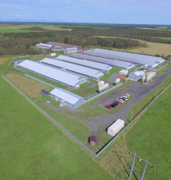 トンタス浜中株式会社